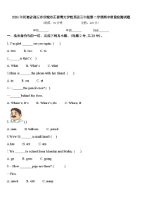 2024年河南省商丘市项城市正泰博文学校英语三年级第二学期期中质量检测试题含答案