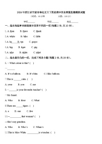 2024年浙江省宁波市奉化区三下英语期中学业质量监测模拟试题含答案