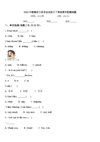 2024年海南省三亚市定安县三下英语期中监测试题含答案