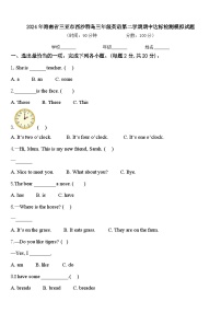 2024年海南省三亚市西沙群岛三年级英语第二学期期中达标检测模拟试题含答案