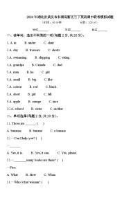 2024年湖北省武汉市东湖高新区三下英语期中联考模拟试题含答案