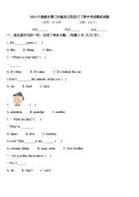 2024年福建省厦门市集美区英语三下期中考试模拟试题含答案