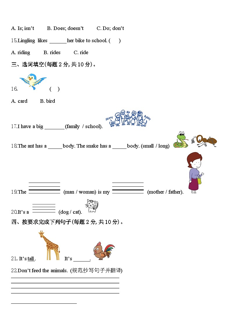 2024年西藏山南地区措美县三下英语期中考试模拟试题含答案02