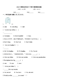 2024年舞阳县英语三下期中调研模拟试题含答案