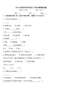 2024年阜阳市界首市英语三下期中调研模拟试题含答案