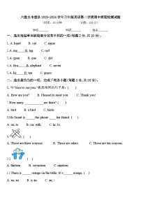 六盘水市盘县2023-2024学年三年级英语第二学期期中质量检测试题含答案