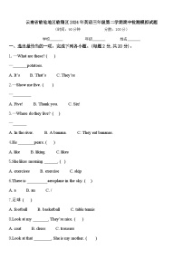 云南省临沧地区临翔区2024年英语三年级第二学期期中检测模拟试题含答案