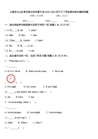 云南省文山壮族苗族自治州富宁县2023-2024学年三下英语期中综合测试试题含答案