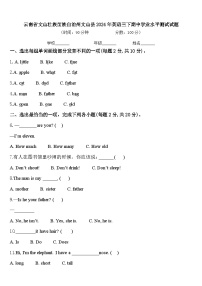 云南省文山壮族苗族自治州文山县2024年英语三下期中学业水平测试试题含答案