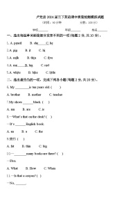 卢龙县2024届三下英语期中质量检测模拟试题含答案