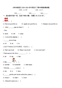 吉林市船营区2023-2024学年英语三下期中质量检测试题含答案