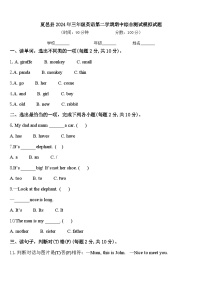 夏邑县2024年三年级英语第二学期期中综合测试模拟试题含答案