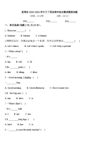 夏津县2023-2024学年三下英语期中综合测试模拟试题含答案