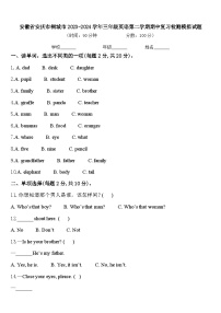 安徽省安庆市桐城市2023-2024学年三年级英语第二学期期中复习检测模拟试题含答案