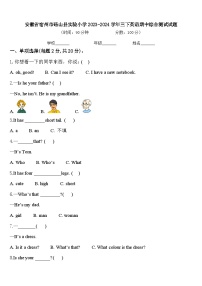 安徽省宿州市砀山县实验小学2023-2024学年三下英语期中综合测试试题含答案