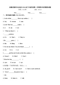 安徽省滁州市定远县2024届三年级英语第二学期期中统考模拟试题含答案