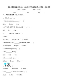 安徽省阜阳市临泉县2023-2024学年三年级英语第二学期期中经典试题含答案