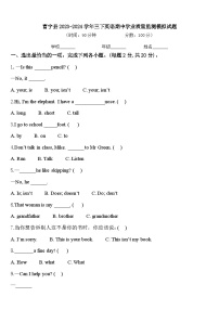 富宁县2023-2024学年三下英语期中学业质量监测模拟试题含答案