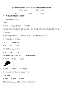 山东省临沂市沂南县2024年三下英语期中质量跟踪监视试题含答案