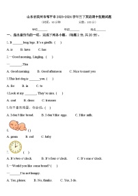 山东省滨州市邹平市2023-2024学年三下英语期中监测试题含答案