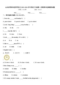 山东省菏泽市经济开发区2023-2024学年英语三年级第二学期期中经典模拟试题含答案