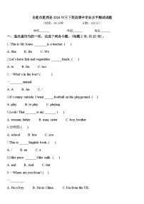 合肥市肥西县2024年三下英语期中学业水平测试试题含答案