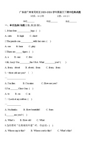 广东省广州市天河区2023-2024学年英语三下期中经典试题含答案