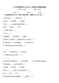 广东省惠州博罗县2024届三下英语期中经典模拟试题含答案