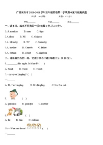 广西来宾市2023-2024学年三年级英语第二学期期中复习检测试题含答案