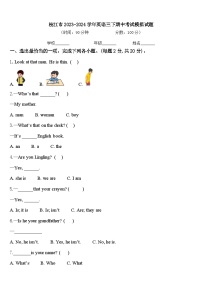 枝江市2023-2024学年英语三下期中考试模拟试题含答案