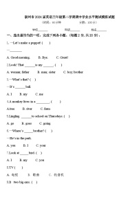 崇州市2024届英语三年级第二学期期中学业水平测试模拟试题含答案