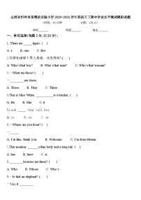 山西省忻州市保德县实验小学2023-2024学年英语三下期中学业水平测试模拟试题含答案