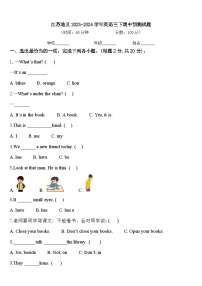 江苏地区2023-2024学年英语三下期中预测试题含答案