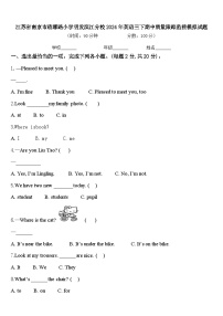 江苏省南京市琅琊路小学明发滨江分校2024年英语三下期中质量跟踪监视模拟试题含答案