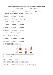 江苏省宿迁市泗洪县2023-2024学年三下英语期中学业质量监测试题含答案