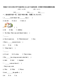 海南省三亚市吉阳区和平实验学校2024届三年级英语第二学期期中质量检测模拟试题含答案