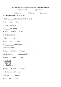 湖北省武汉市武昌区2023-2024学年三下英语期中预测试题含答案