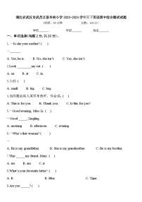 湖北省武汉市武昌区昙华林小学2023-2024学年三下英语期中综合测试试题含答案