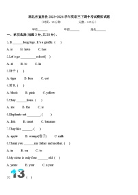 湖北省宣恩县2023-2024学年英语三下期中考试模拟试题含答案