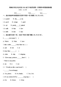 湖南省怀化市会同县2024届三年级英语第二学期期中质量检测试题含答案