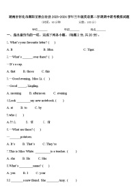 湖南省怀化市麻阳苗族自治县2023-2024学年三年级英语第二学期期中联考模拟试题含答案