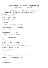 甘肃省庆阳市镇原县2023-2024学年三下英语期中预测试题含答案