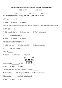 石家庄市赞皇县2023-2024学年英语三下期中复习检测模拟试题含答案