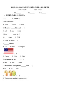 绿春县2023-2024学年英语三年级第二学期期中复习检测试题含答案