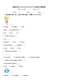 襄樊市老河口市2023-2024学年三下英语期中预测试题含答案