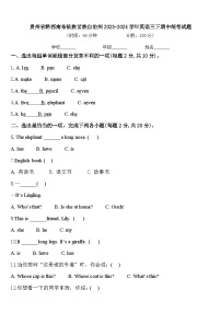 贵州省黔西南布依族苗族自治州2023-2024学年英语三下期中统考试题含答案