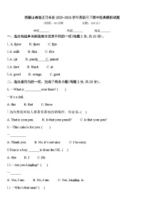 西藏山南地区乃东县2023-2024学年英语三下期中经典模拟试题含答案