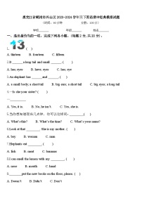 黑龙江省鹤岗市兴山区2023-2024学年三下英语期中经典模拟试题含答案