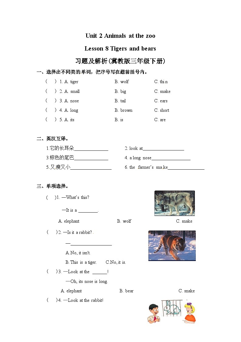 冀教版 三年级下册英语-Unit 2 Lesson 8 Tigers and Bears  同步练习01