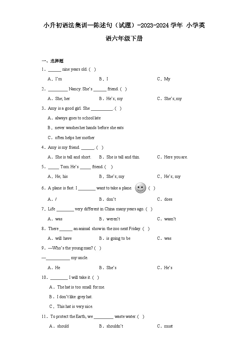 小升初语法集训--陈述句（试题）-2023-2024学年通用版英语六年级下册第1页
